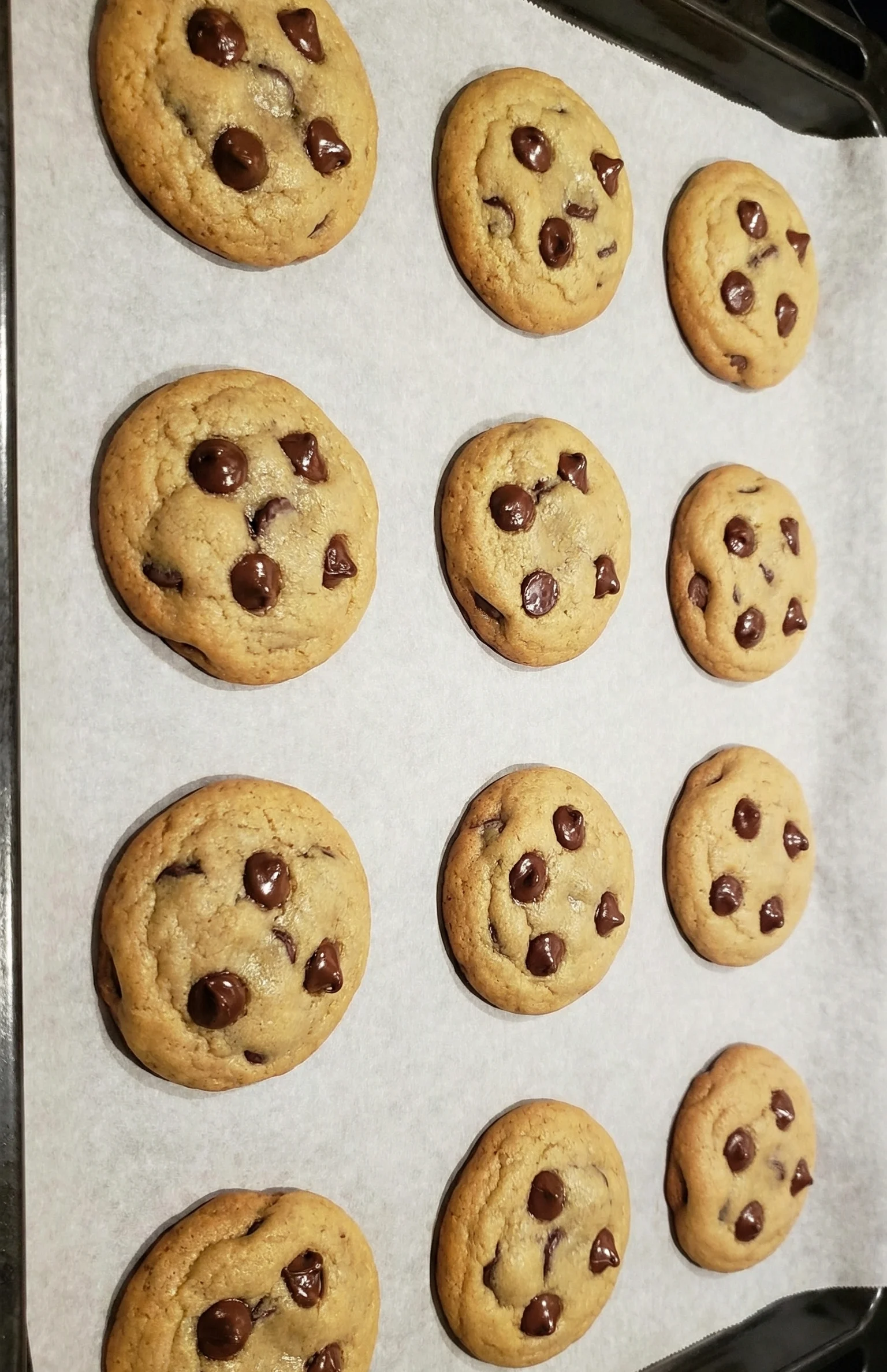 Vegan Chocolate Chip Cookies